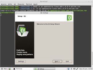 Как сбросить настройки qt5 в linux mint